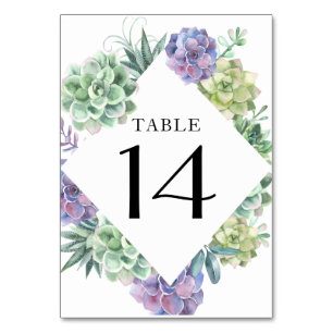 Succulent Table Number