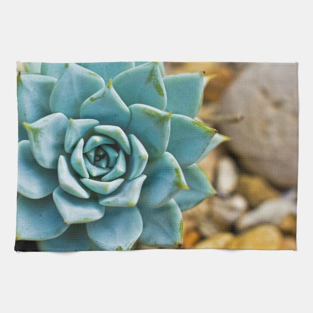 Succulent Tea Towel (Horizontal)
