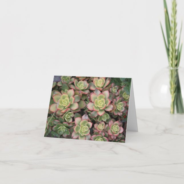 Succulent Thank You card (Front)