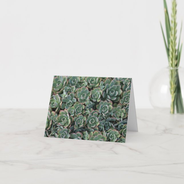 Succulent Thank You card (Front)