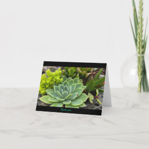 Succulent  thank you card