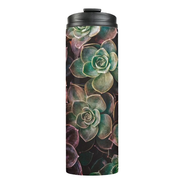 Succulent Thermal Tumbler (Front)