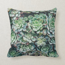 Succulent | Throw Pillow