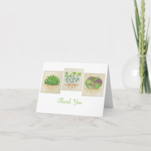Succulent Trio thank you card