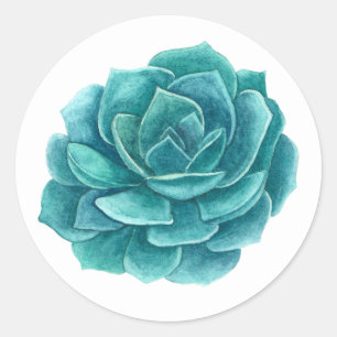 Succulent watercolor. Blue cactus. Cacti. Botanic Classic Round Sticker