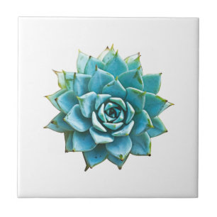 Succulent Watercolor Ceramic Tile