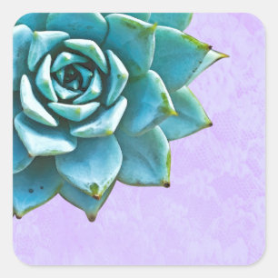 Succulent Watercolor Lavender Lace Square Sticker