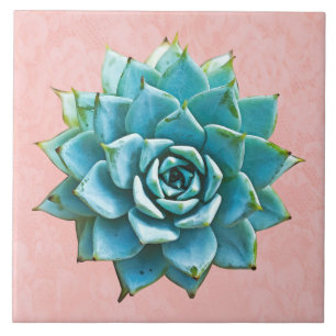 Succulent Watercolor on Blush Pink Lace Ceramic Tile