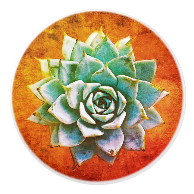 Succulent Watercolor on Orange Rust Ceramic Knob (Front)