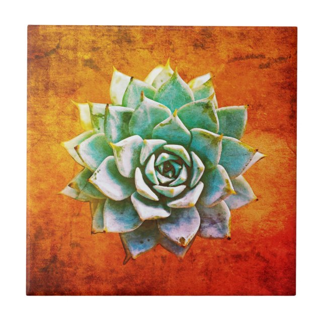 Succulent Watercolor on Orange Rust Ceramic Tile (Front)