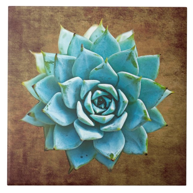 Succulent Watercolor on Rustic Brown Ceramic Tile (Front)