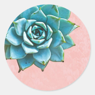 Succulent Watercolor Pink Lace Classic Round Sticker