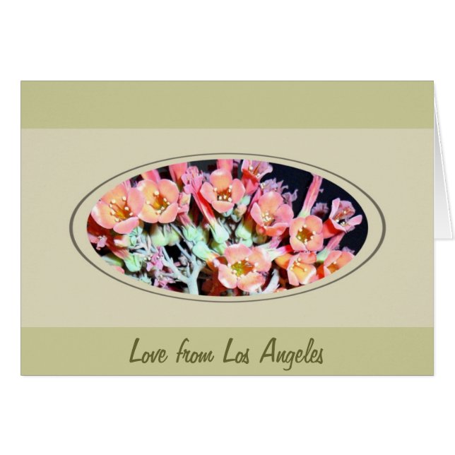 Succulent "Weed" (Front Horizontal)