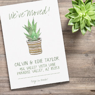 Succulent Zebra Plant Southwestern Pot New Address Announcement
