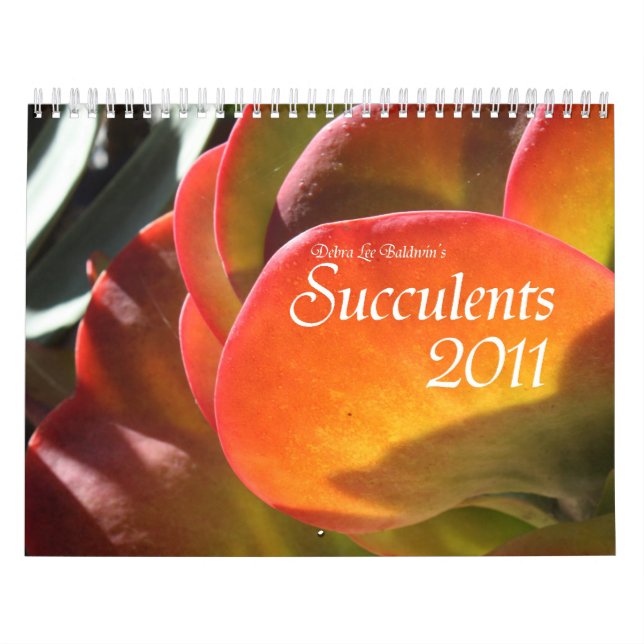 Succulents 2011 calendar (Cover)