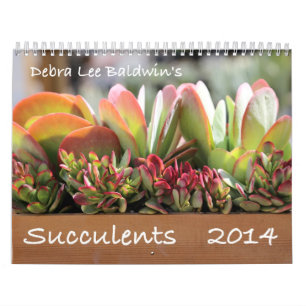 Succulents 2014 Calendar by Debra Lee Baldwin