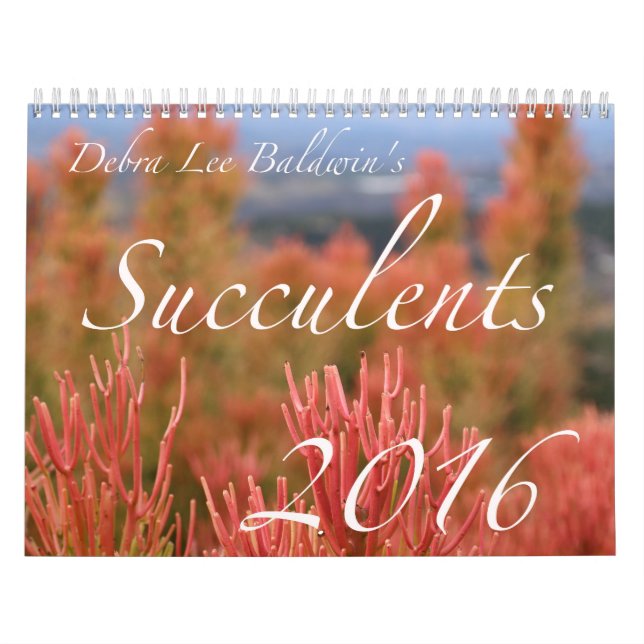 Succulents 2016 Calendar by Debra Lee Baldwin (Cover)