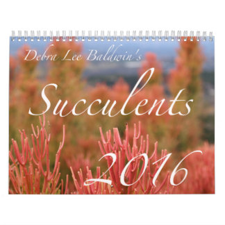 Succulents 2016 Calendar by Debra Lee Baldwin
