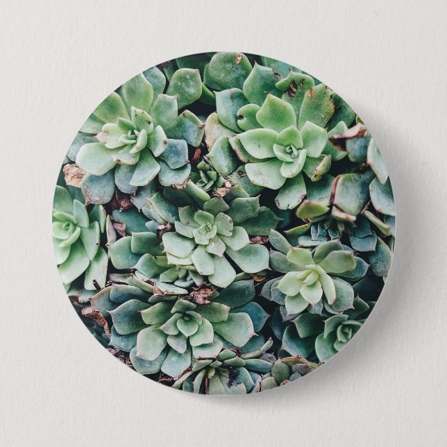 Succulents 2 7.5 cm round badge (Front)