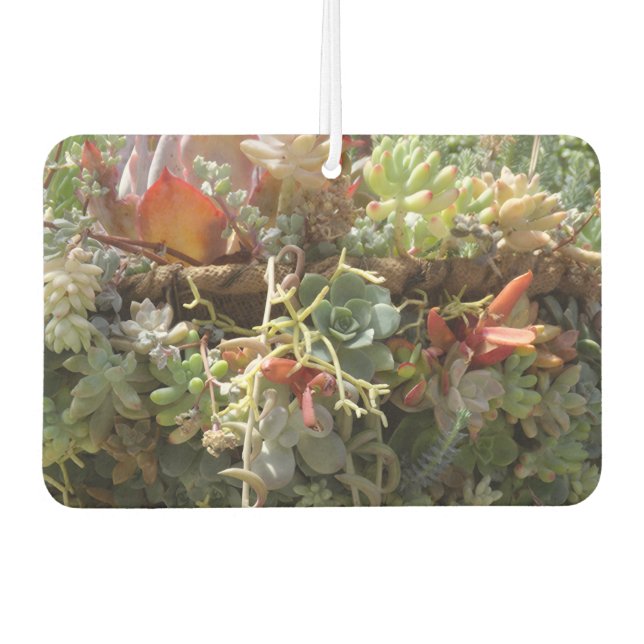 Succulents Air Freshener (Front)