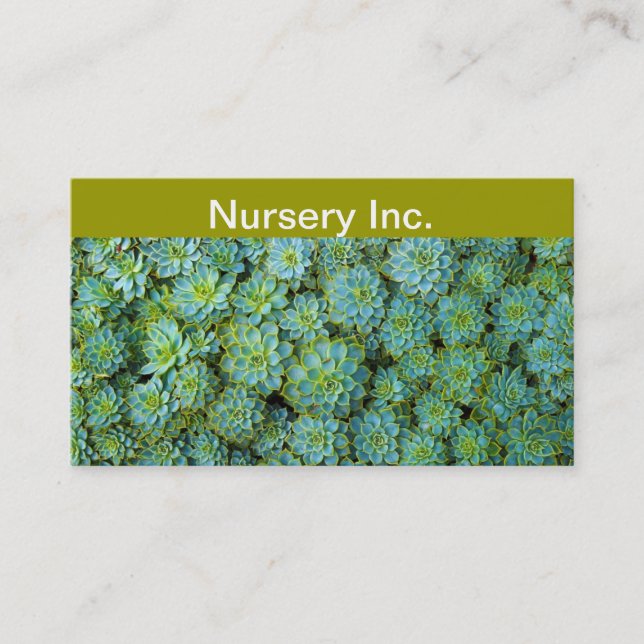 Succulents - Echeveria plant Business Card (Front)