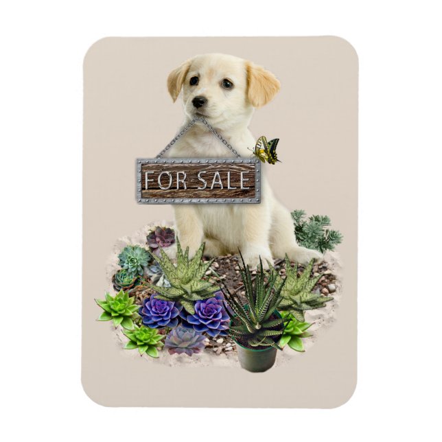Succulents for sale magnet (Vertical)