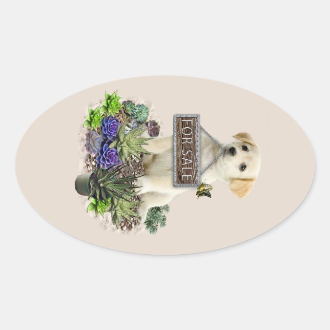 Succulents for sale oval sticker (Front)