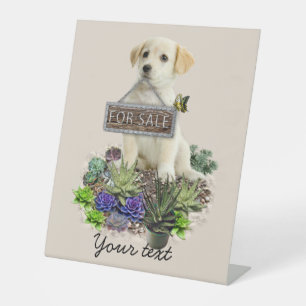 Succulents for sale pedestal sign