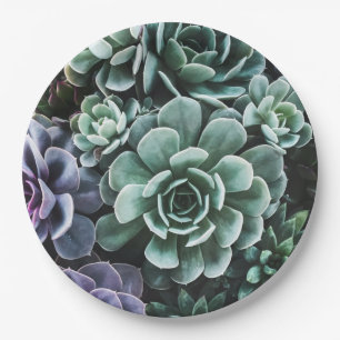 Succulents Green Plants Nature Paper Plate