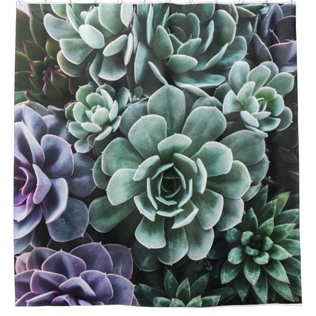 Succulents Green Plants Nature Shower Curtain (Front)