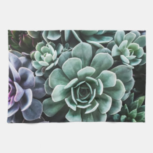 Succulents Green Plants Nature Tea Towel