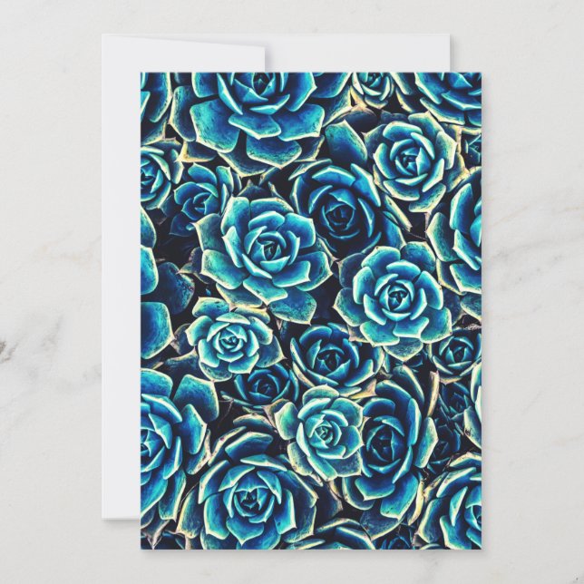 Succulents Holiday Card (Front)