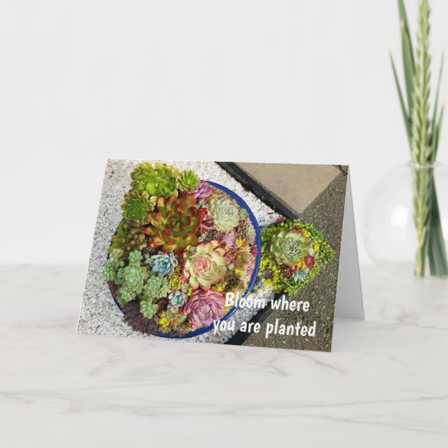 Succulents in Planter Card (Front)