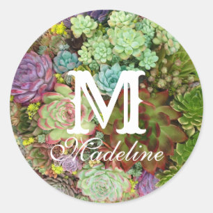Succulents in Planter Classic Round Sticker
