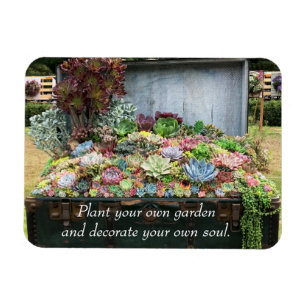 Succulents in Treasure Chest Magnet