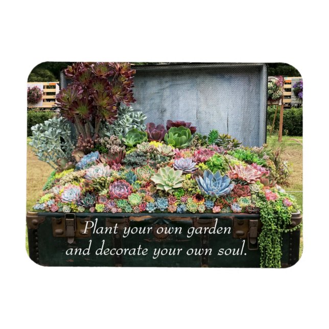 Succulents in Treasure Chest Magnet (Horizontal)