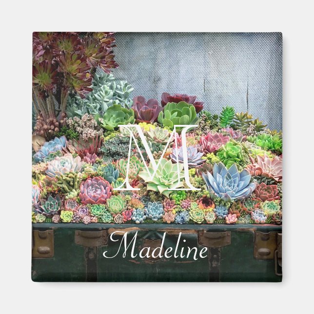 Succulents in Treasure Chest Magnet (Front)