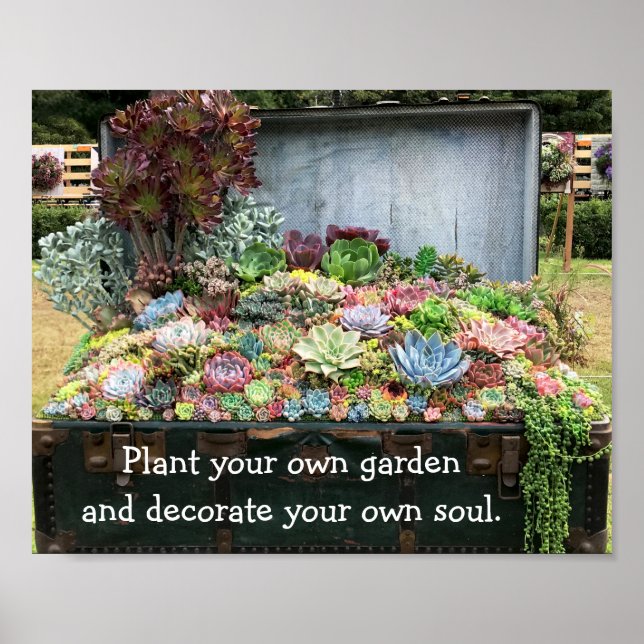 Succulents in Treasure Chest Poster (Front)