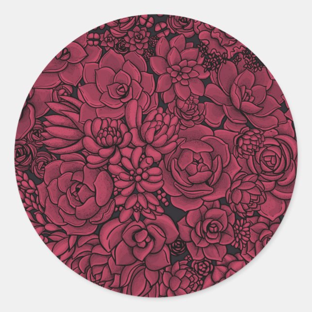 Succulents in Viva Magenta- Colour of the Year 202 Classic Round Sticker (Front)
