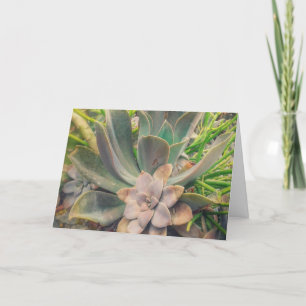 Succulents, Mother's Day Card