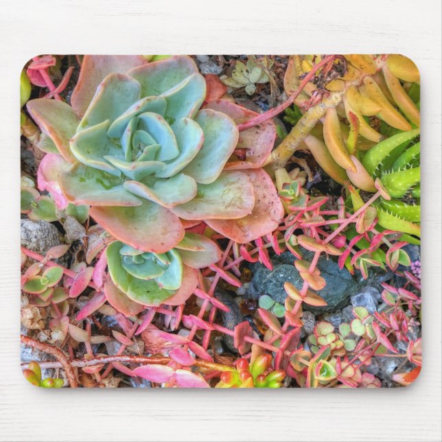 Succulents Mouse Pad (Front)
