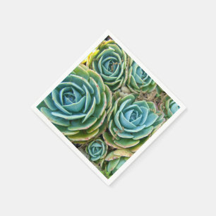 Succulents Napkin