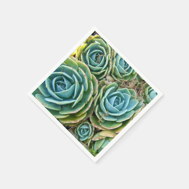 Succulents Napkin (Corner)
