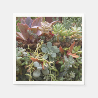 Succulents napkins