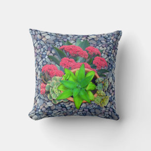 Succulents on a riverbed cushion
