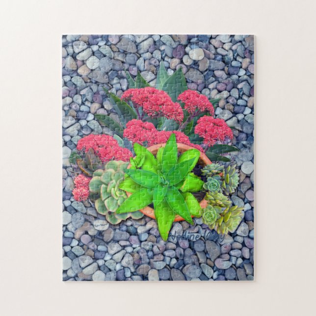 Succulents on a riverbed jigsaw puzzle (Vertical)