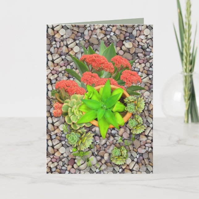 Succulents on garden pebbles announcement (Front)