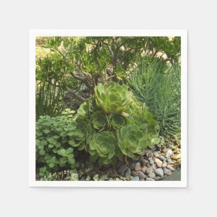 Succulents Paper Napkin