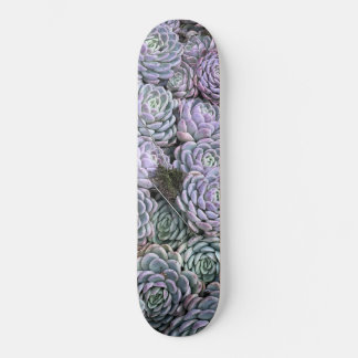 Succulents, Succulents, Succulents  Skateboard