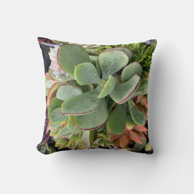 Succulents Throw Pillow (Front)